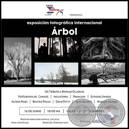 ÁRBOL - Exposición fotográfica internacional - Miércoles 14 de Junio de 2017